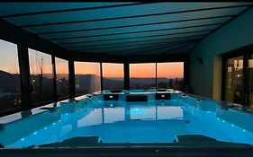 spa de nage et jacuzzi à Séverac d'Aveyron